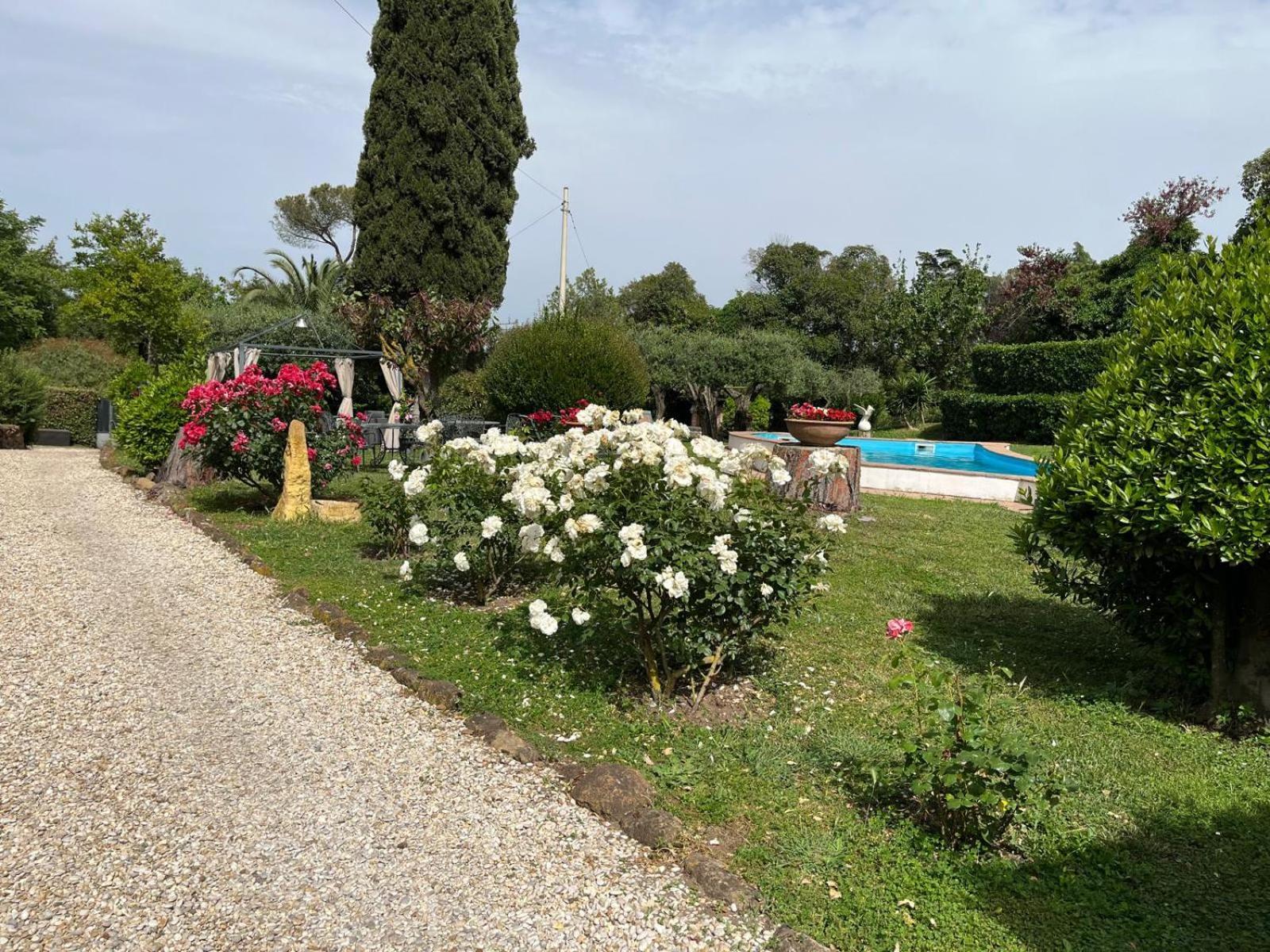 דירות רומא Loft Appia Antica Donna Eugenia מראה חיצוני תמונה